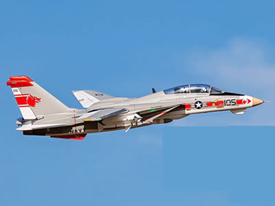 Freewing F-14 V2 Tomcat  Twin 64mm EDF PNP RC Jet