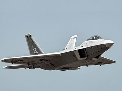 Freewing F-22 Raptor 70mm EDF ARF Plus RC Jet 