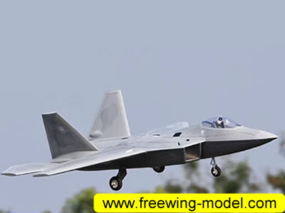 Freewing F-22 V2 Raptor 64mm EDF Jet PNP JET